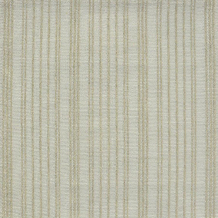 Hilroy # 824 Natural by Maxwell Designer Fabric Performance Wovens-Vol. Vi Pampas 100% UV POLYESTER USA H-4" 56.8" - Swanky Fabrics -