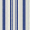 Hawser # 637 Denim by Maxwell Designer Fabric