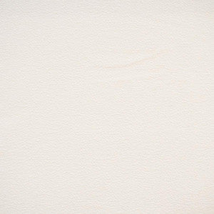 Hoyt # 912 Snowfall by Maxwell Designer Fabric