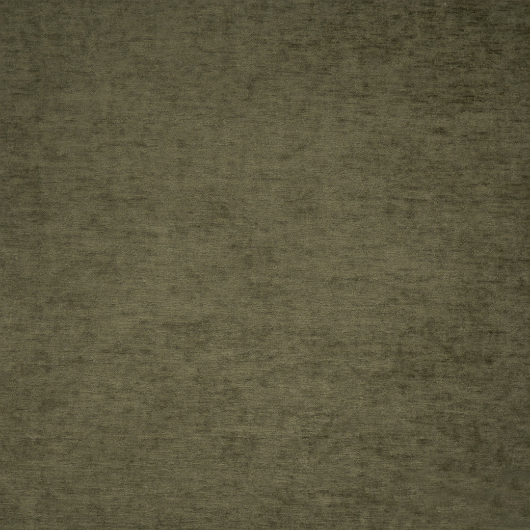 Harrington # 509 Swamp by Maxwell Designer Fabric Performance Velvets-Vol.Vi 100% POLYESTER CHINA 55" - Swanky Fabrics -