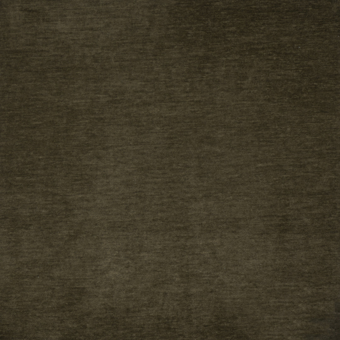 Harrington # 510 Olive by Maxwell Designer Fabric Performance Velvets-Vol.Vi 100% POLYESTER CHINA 55" - Swanky Fabrics -