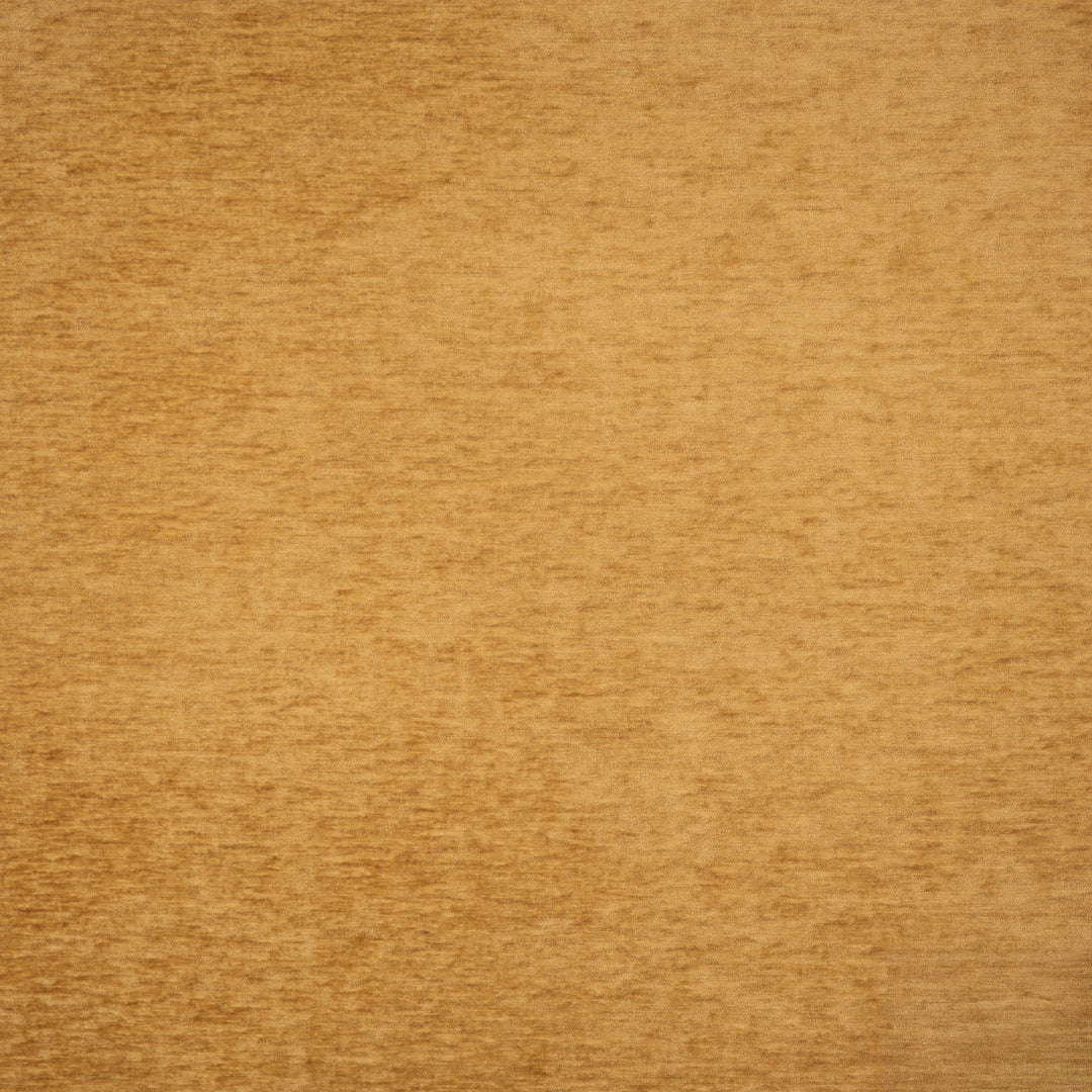 Harrington # 513 Marigold by Maxwell Designer Fabric Performance Velvets-Vol.Vi 100% POLYESTER CHINA 55" - Swanky Fabrics -