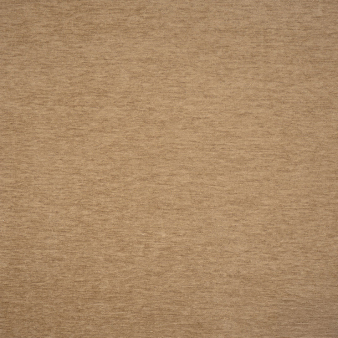 Harrington # 525 Cub by Maxwell Designer Fabric Performance Velvets-Vol.Vi 100% POLYESTER CHINA 55" - Swanky Fabrics -