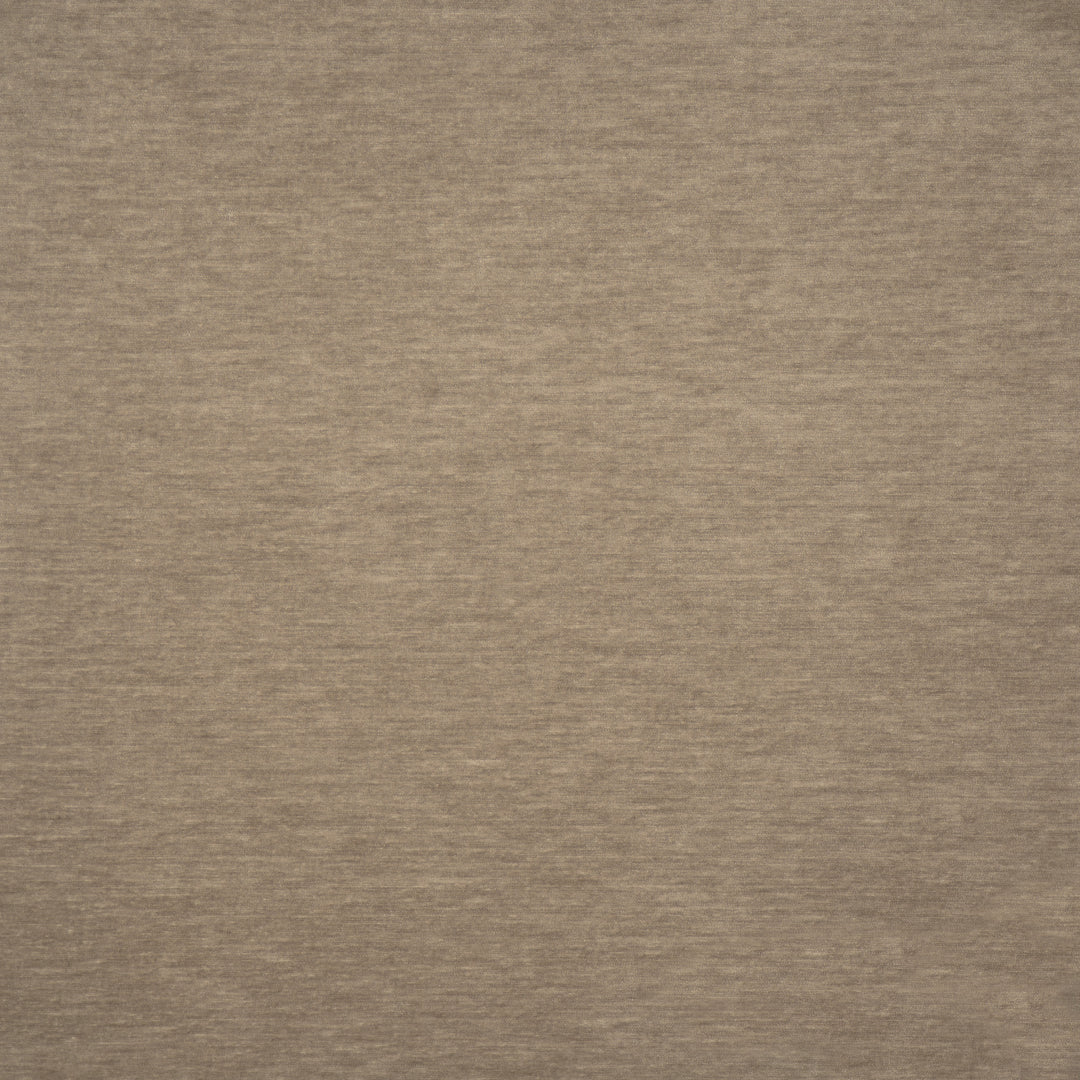 Harrington # 526 Dust Bunny by Maxwell Designer Fabric Performance Velvets-Vol.Vi 100% POLYESTER CHINA 55" - Swanky Fabrics -