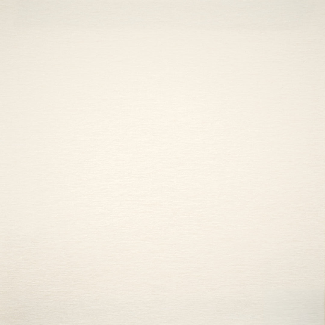 Harrington # 532 Snow by Maxwell Designer Fabric Performance Velvets-Vol.Vi 100% POLYESTER CHINA 55" - Swanky Fabrics -