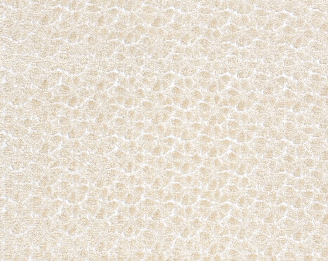 Petal Velvet Ivory HN273320001 by Hinson Designer Fabric