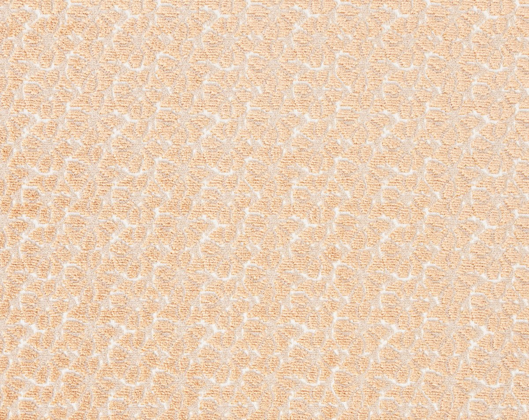 Petal Velvet Peach Fuzz HN273320002 by Hinson Designer Fabric
