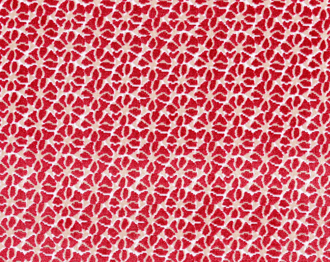 Petal Velvet Red HN273320008 by Hinson Designer Fabric