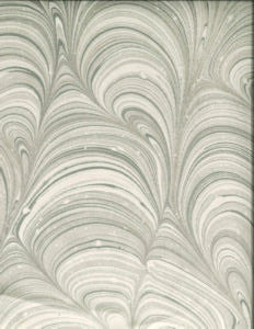 Holden Taupe 229 by Norbar Designer Fabric