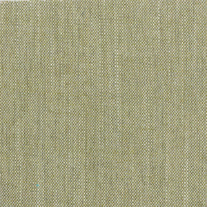 Holyoke 3 Sage by Stout Designer Fabric