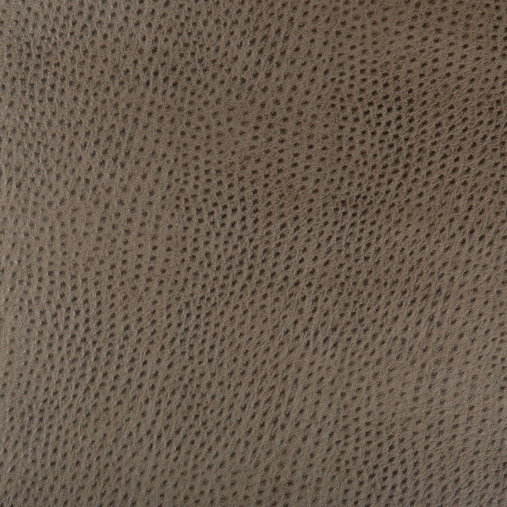 Hubble-106 by Kravet Design Designer Fabric - POLYURETHANE - 73%;POLYESTER - 17%;COTTON - 10% China HEAVY Horizontal: - and Vertical: - 54 - Swanky Fabrics -