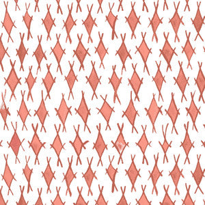 Hurlock 2 Coral by Aoc Designer Fabric