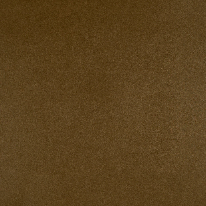 Icon # 727 Aztec by Maxwell Designer Fabric Easy Rider Vii FACE: 95% POLYURETHANE/ 5% SILICONE
BACKING: 100% POLYESTER TAIWAN 54" - Swanky Fabrics -