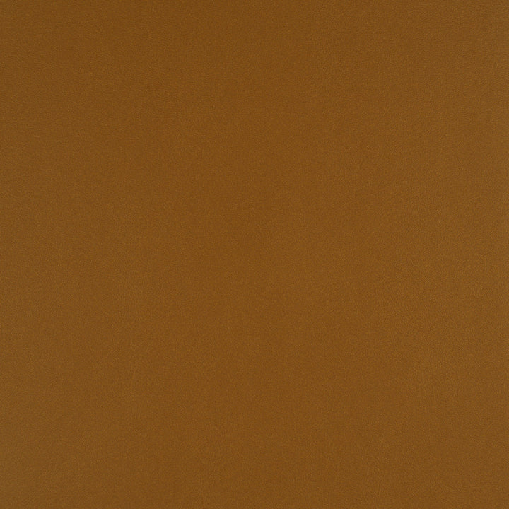 Icon # 729 Butterscotch by Maxwell Designer Fabric Easy Rider Vii FACE: 95% POLYURETHANE/ 5% SILICONE
BACKING: 100% POLYESTER TAIWAN 54" - Swanky Fabrics -