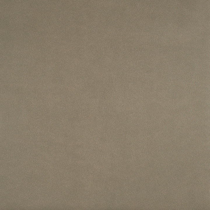 Icon # 738 Twine by Maxwell Designer Fabric Easy Rider Vii FACE: 95% POLYURETHANE/ 5% SILICONE
BACKING: 100% POLYESTER TAIWAN 54" - Swanky Fabrics -