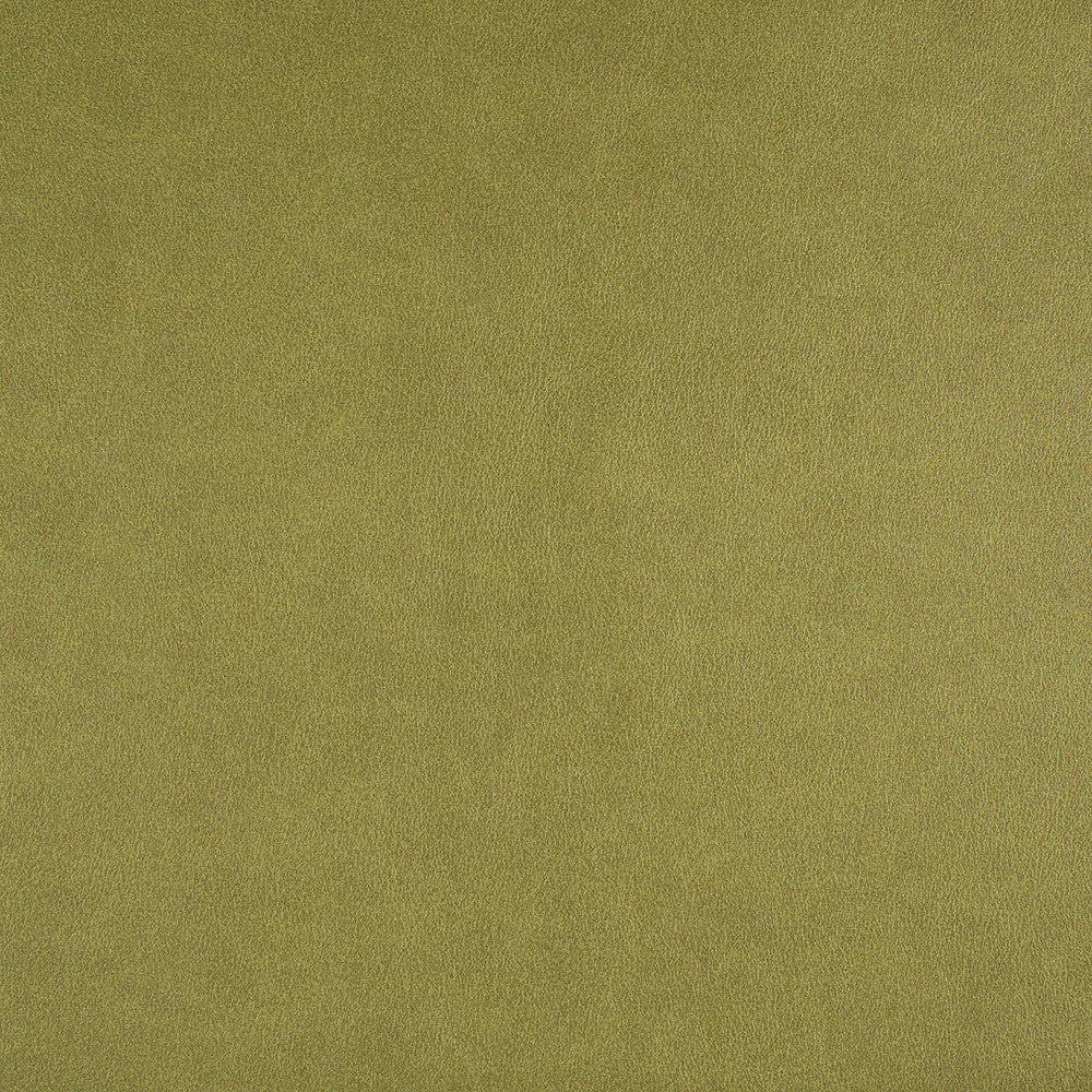 Icon # 741 Spring by Maxwell Designer Fabric Easy Rider Vii FACE: 95% POLYURETHANE/ 5% SILICONE
BACKING: 100% POLYESTER TAIWAN 54" - Swanky Fabrics -