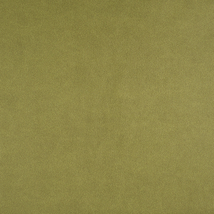 Icon # 741 Spring by Maxwell Designer Fabric Easy Rider Vii FACE: 95% POLYURETHANE/ 5% SILICONE
BACKING: 100% POLYESTER TAIWAN 54" - Swanky Fabrics -