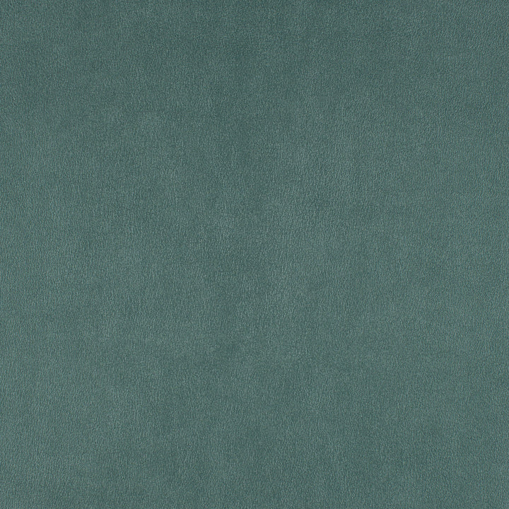 Icon # 748 Shoreline by Maxwell Designer Fabric Easy Rider Vii FACE: 95% POLYURETHANE/ 5% SILICONE
BACKING: 100% POLYESTER TAIWAN 54" - Swanky Fabrics -
