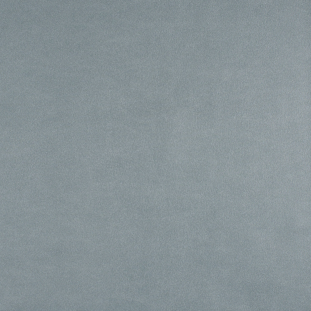 Icon # 752 Skylight by Maxwell Designer Fabric Easy Rider Vii FACE: 95% POLYURETHANE/ 5% SILICONE
BACKING: 100% POLYESTER TAIWAN 54" - Swanky Fabrics -