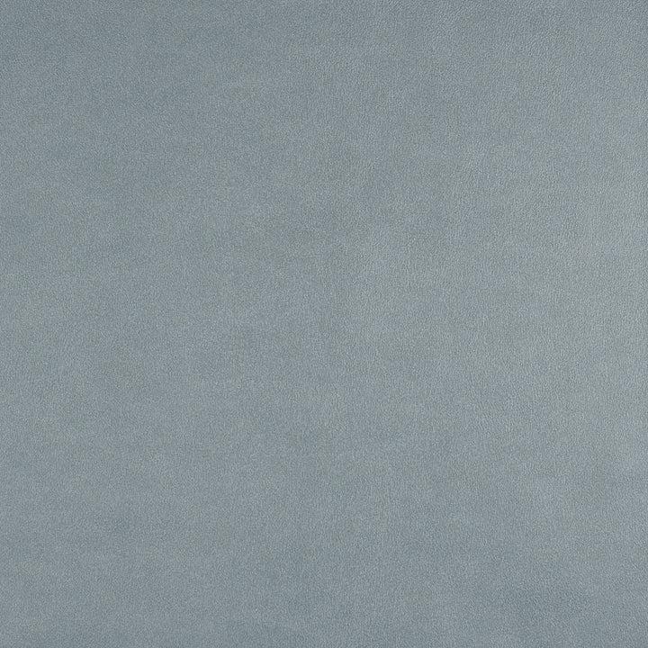 Icon # 752 Skylight by Maxwell Designer Fabric Easy Rider Vii FACE: 95% POLYURETHANE/ 5% SILICONE
BACKING: 100% POLYESTER TAIWAN 54" - Swanky Fabrics -