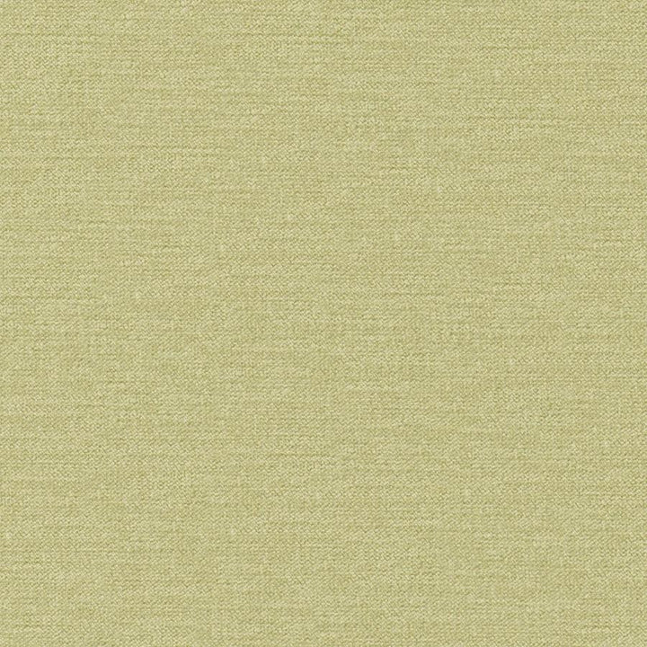 Impasto # 808 Pear by Maxwell Designer Fabric Curled Up Viii 100% POLYESTER CHINA 56" - Swanky Fabrics -