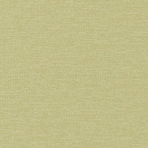 Impasto # 808 Pear by Maxwell Designer Fabric