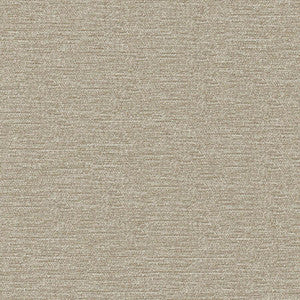 Impasto # 904 Cobblestone by Maxwell Designer Fabric