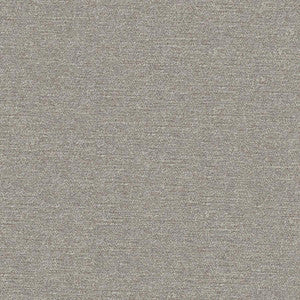 Impasto # 906 Shark by Maxwell Designer Fabric