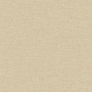 Impasto # 950 Biscuit by Maxwell Designer Fabric