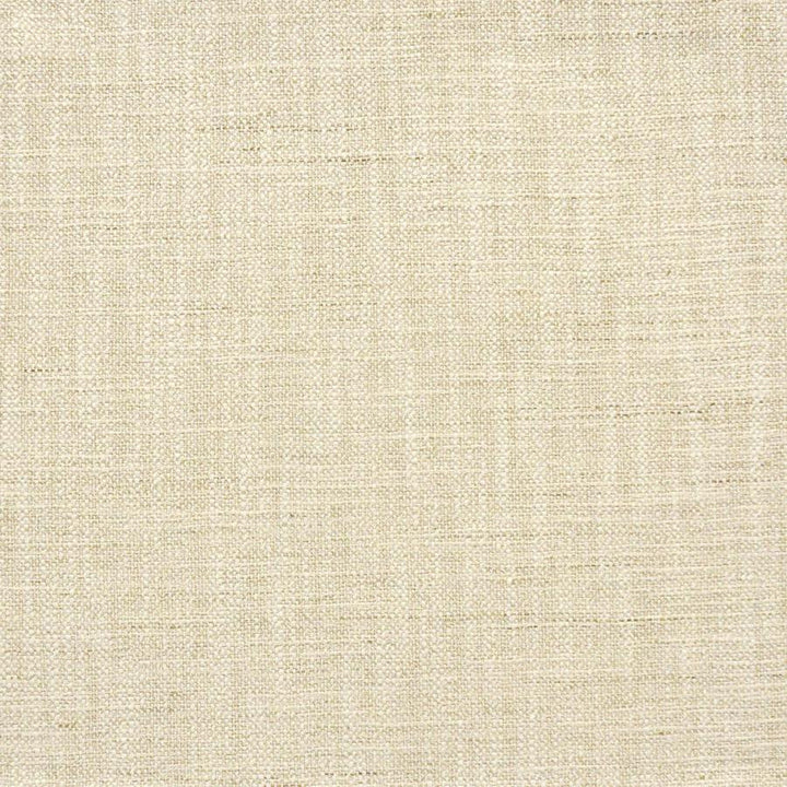 Indus # 226 Papyrus by Maxwell Designer Fabric Color Theory-Vol.Vi Alabaster 100% POLYESTER INDIA 55.5" - Swanky Fabrics -