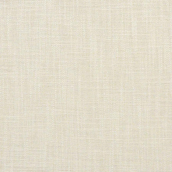 Indus # 230 Angora by Maxwell Designer Fabric Color Theory-Vol.Vi Alabaster 100% POLYESTER INDIA 55.5" - Swanky Fabrics -