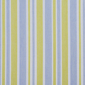 I9000-24 by Charlotte Designer Fabric