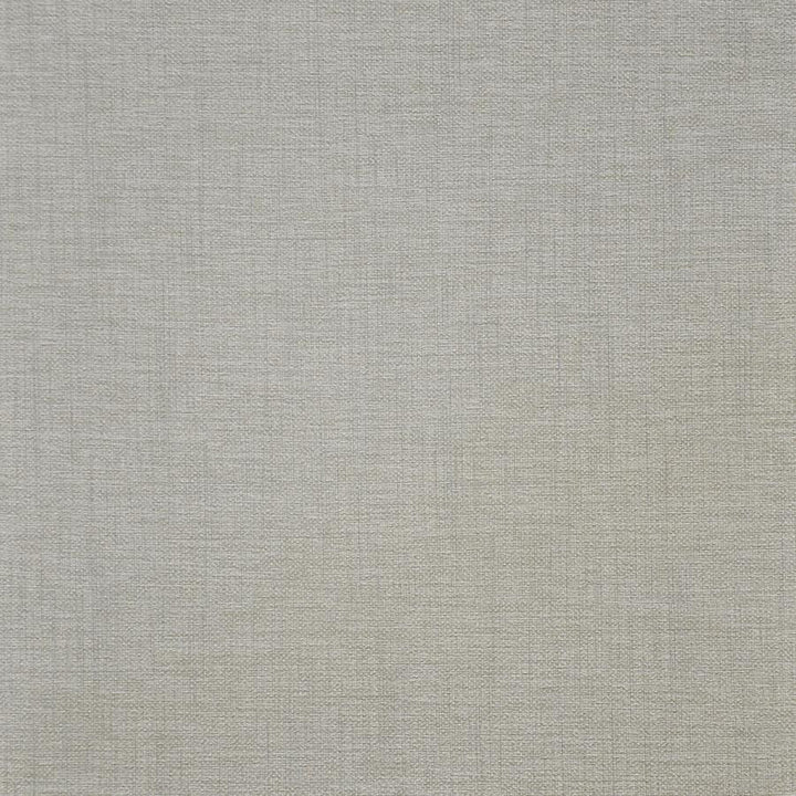 Illusion # 202 Sheer by Maxwell Designer Fabric Easy Rider V 100% PVC TAIWAN 54" - Swanky Fabrics -