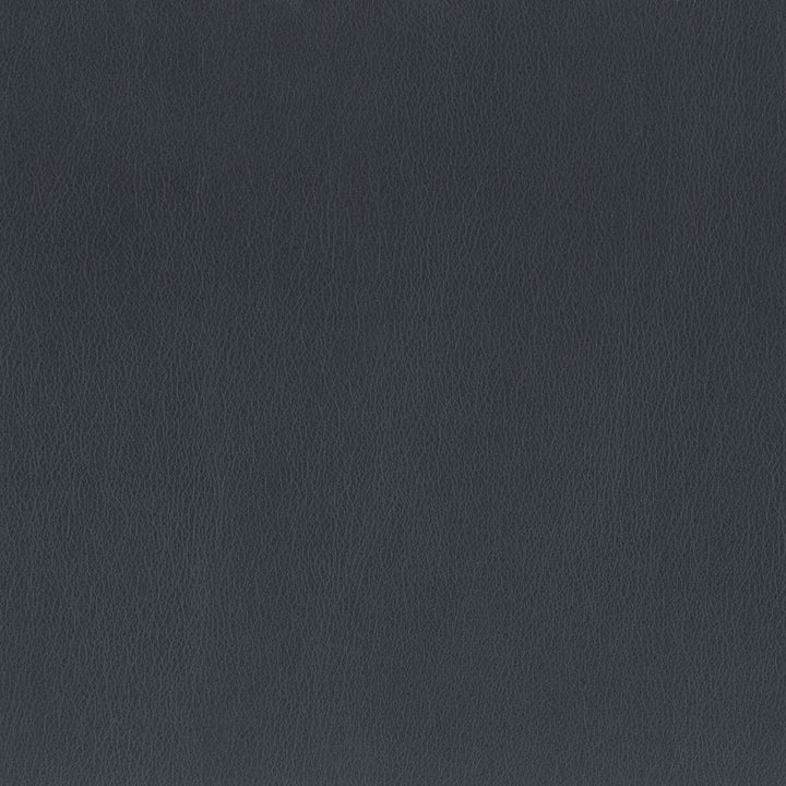Independence 13 Navy by Stout Fabric Stout Fabric Independence 13 NavyFabric ULTIMATE LEATHER LOOKS CHINA </p><p>Repeat: H: 0.000, V: 0.000 54 in - Fabric Carolina -