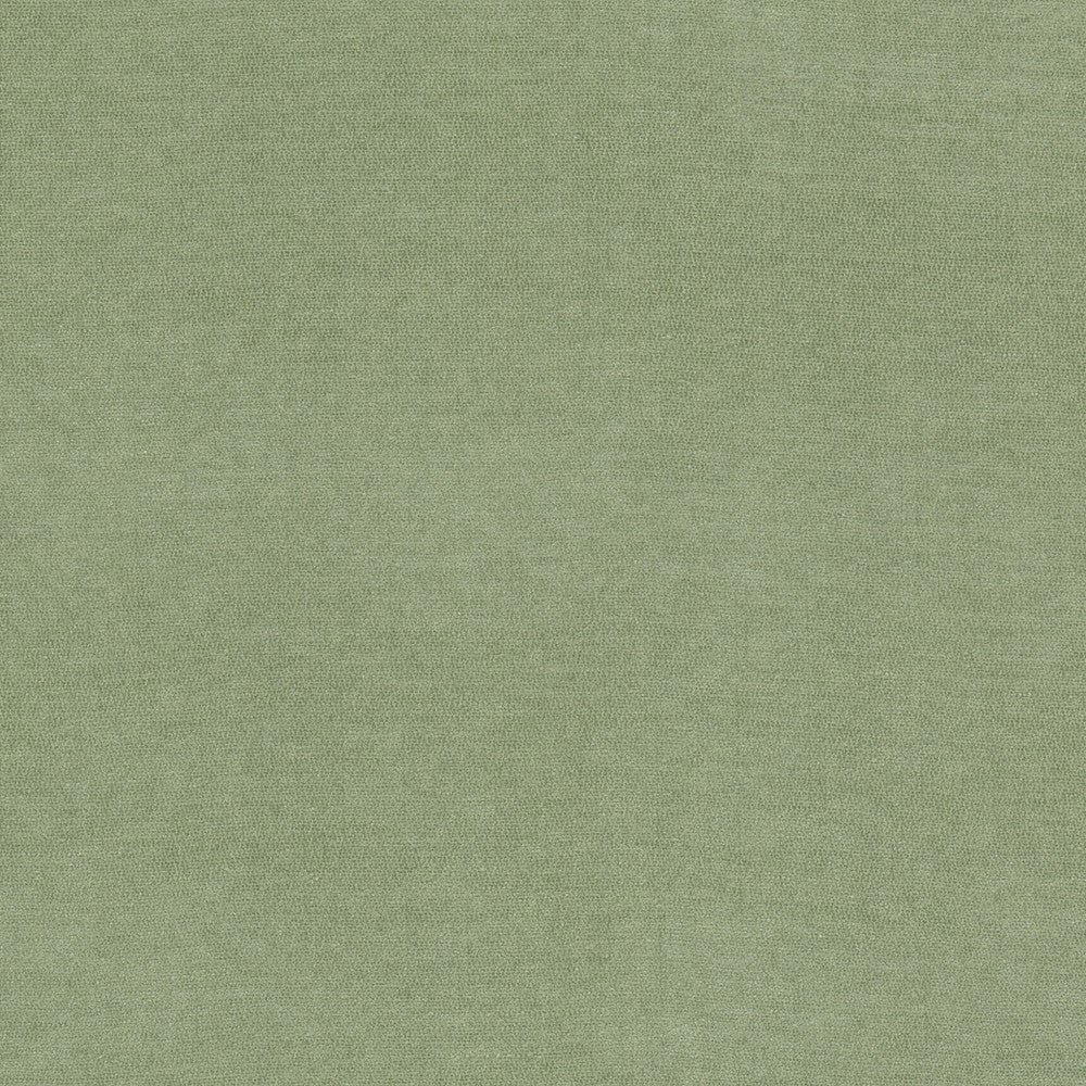 Inevitable 1 Celadon by Stout Fabric Stout Fabric Inevitable 1 CeladonFabric COMFORTABLE LIVING SAGE/MOSS 100%POL CHINA </p><p>Repeat: H: 0.000, V: 0.000 56 in - Fabric Carolina -