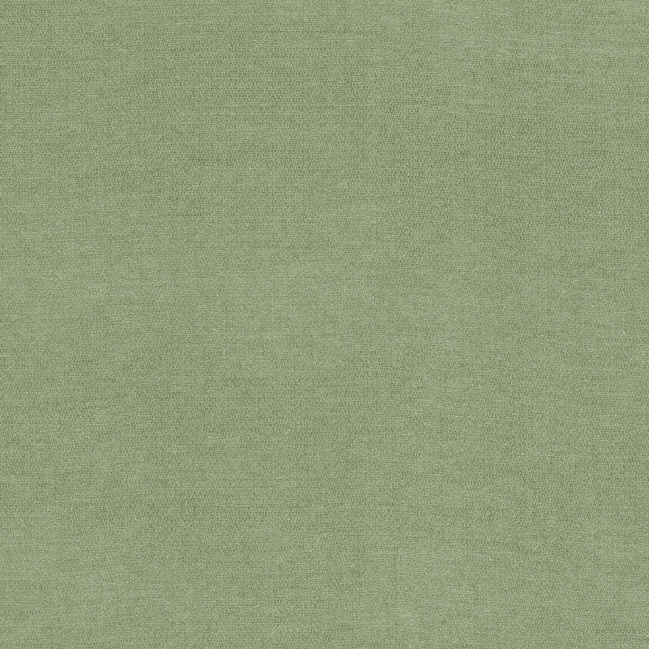 Inevitable 1 Celadon by Stout Fabric Stout Fabric Inevitable 1 CeladonFabric COMFORTABLE LIVING SAGE/MOSS 100%POL CHINA </p><p>Repeat: H: 0.000, V: 0.000 56 in - Fabric Carolina -