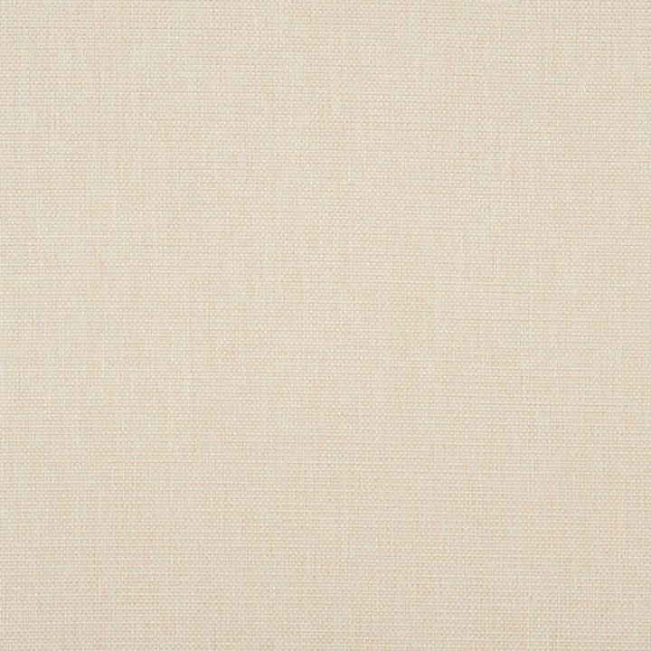 Ingersoll 92J7031 by JF Crypton Designer Fabric Crypton Binder 100% Polyester China 50000 Horizontal: and Vertical: 54 - Swanky Fabrics -