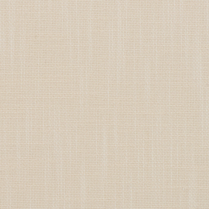 Insideout Frances Lace by Magnolia Designer Fabric - 100% Poly (Uv) Usa 50,000+ Horizontal: 0.063 and Vertical: 0.063 55.5 - Swanky Fabrics -