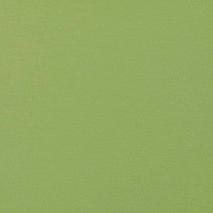 Jackpot # 13 Sprout by Maxwell Designer Fabric