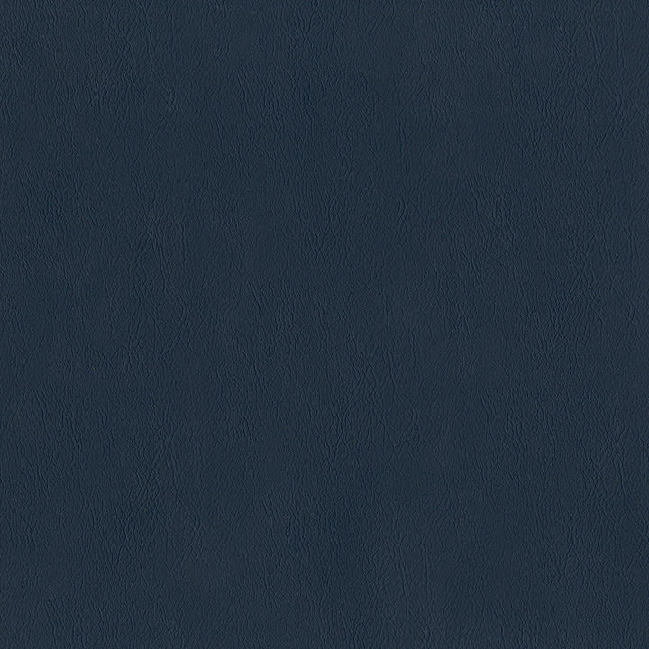Jackson # 601 Admiral by Maxwell Designer Fabric Jackson FACE: 100% PVC
BACKING: 100% POLYESTER CHINA 55" - Swanky Fabrics -