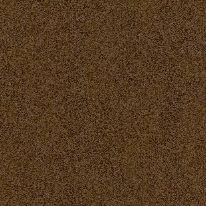 Jackson # 603 Autumn by Maxwell Designer Fabric Jackson FACE: 100% PVC
BACKING: 100% POLYESTER CHINA 55" - Swanky Fabrics -
