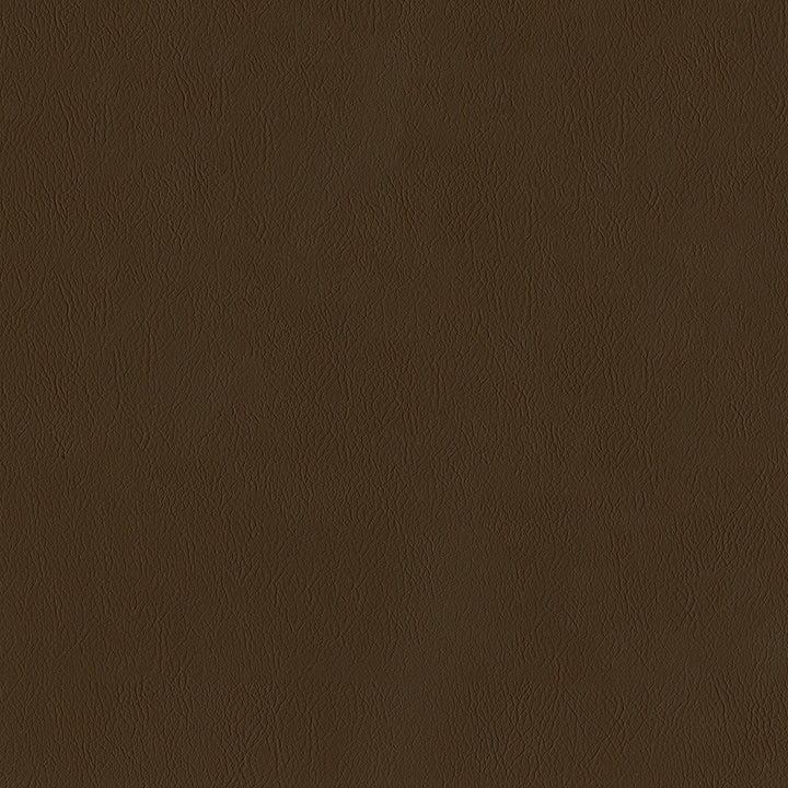 Jackson # 604 Brunette by Maxwell Designer Fabric Jackson FACE: 100% PVC
BACKING: 100% POLYESTER CHINA 55" - Swanky Fabrics -