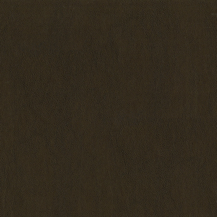 Jackson # 606 Umber by Maxwell Designer Fabric Jackson FACE: 100% PVC
BACKING: 100% POLYESTER CHINA 55" - Swanky Fabrics -