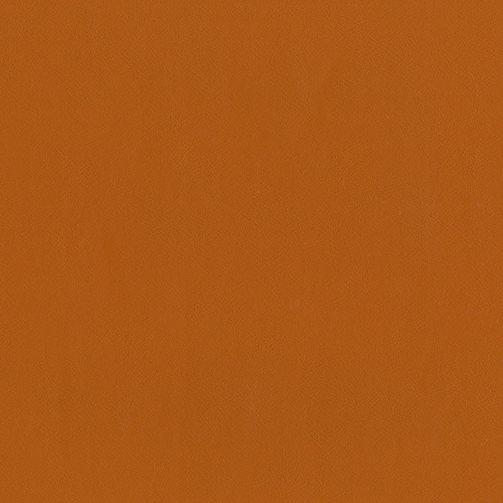 Jackson # 612 Spice by Maxwell Designer Fabric Jackson FACE: 100% PVC
BACKING: 100% POLYESTER CHINA 55" - Swanky Fabrics -