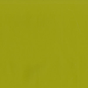 Jackson # 613 Citrus by Maxwell Designer Fabric
