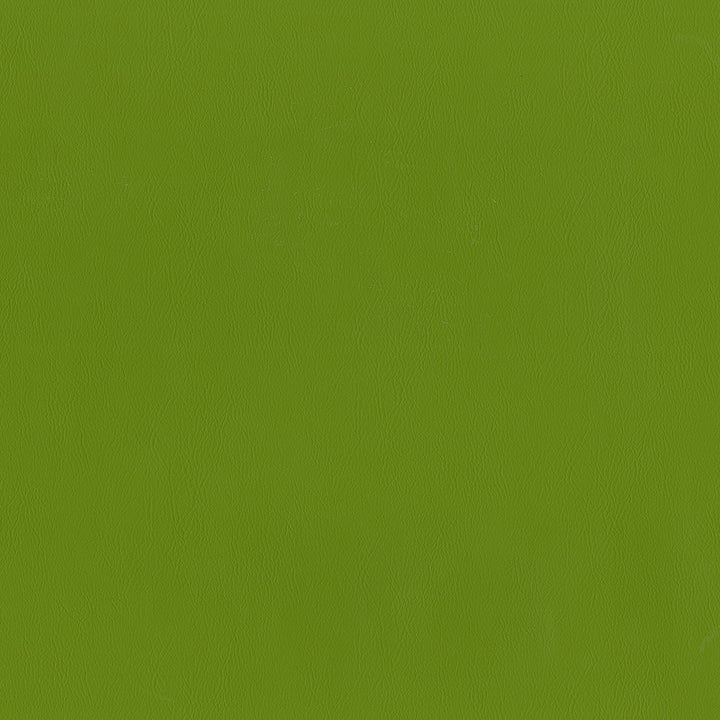 Jackson # 614 Grass by Maxwell Designer Fabric Jackson FACE: 100% PVC
BACKING: 100% POLYESTER CHINA 55" - Swanky Fabrics -