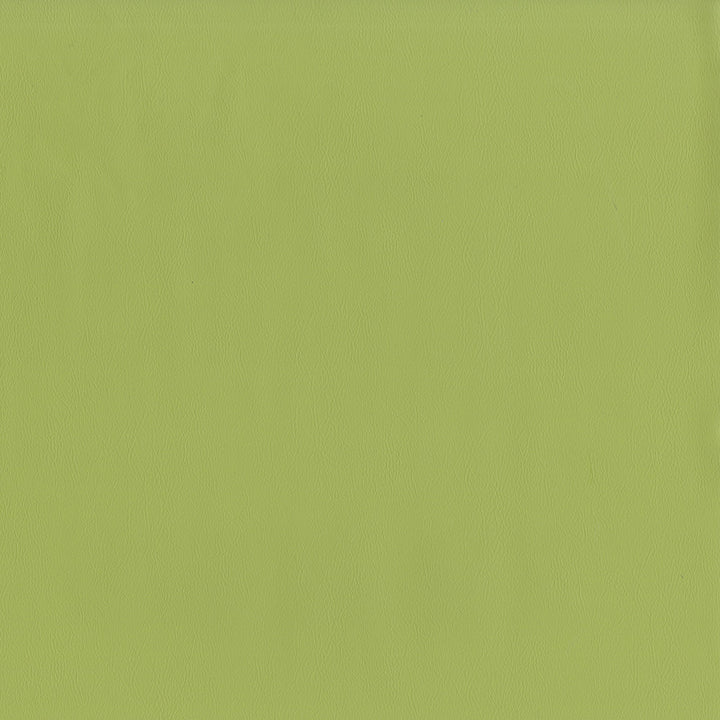 Jackson # 615 Aloe by Maxwell Designer Fabric Jackson FACE: 100% PVC
BACKING: 100% POLYESTER CHINA 55" - Swanky Fabrics -