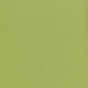 Jackson # 615 Aloe by Maxwell Designer Fabric
