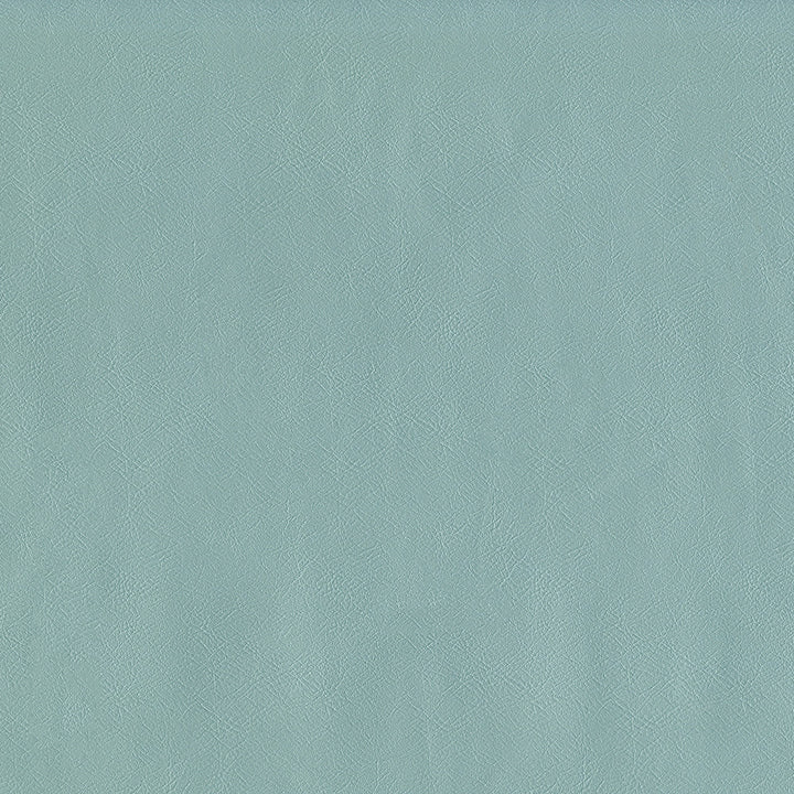 Jackson # 616 Powder by Maxwell Designer Fabric Jackson FACE: 100% PVC
BACKING: 100% POLYESTER CHINA 55" - Swanky Fabrics -