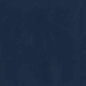 Jackson # 620 Night by Maxwell Designer Fabric